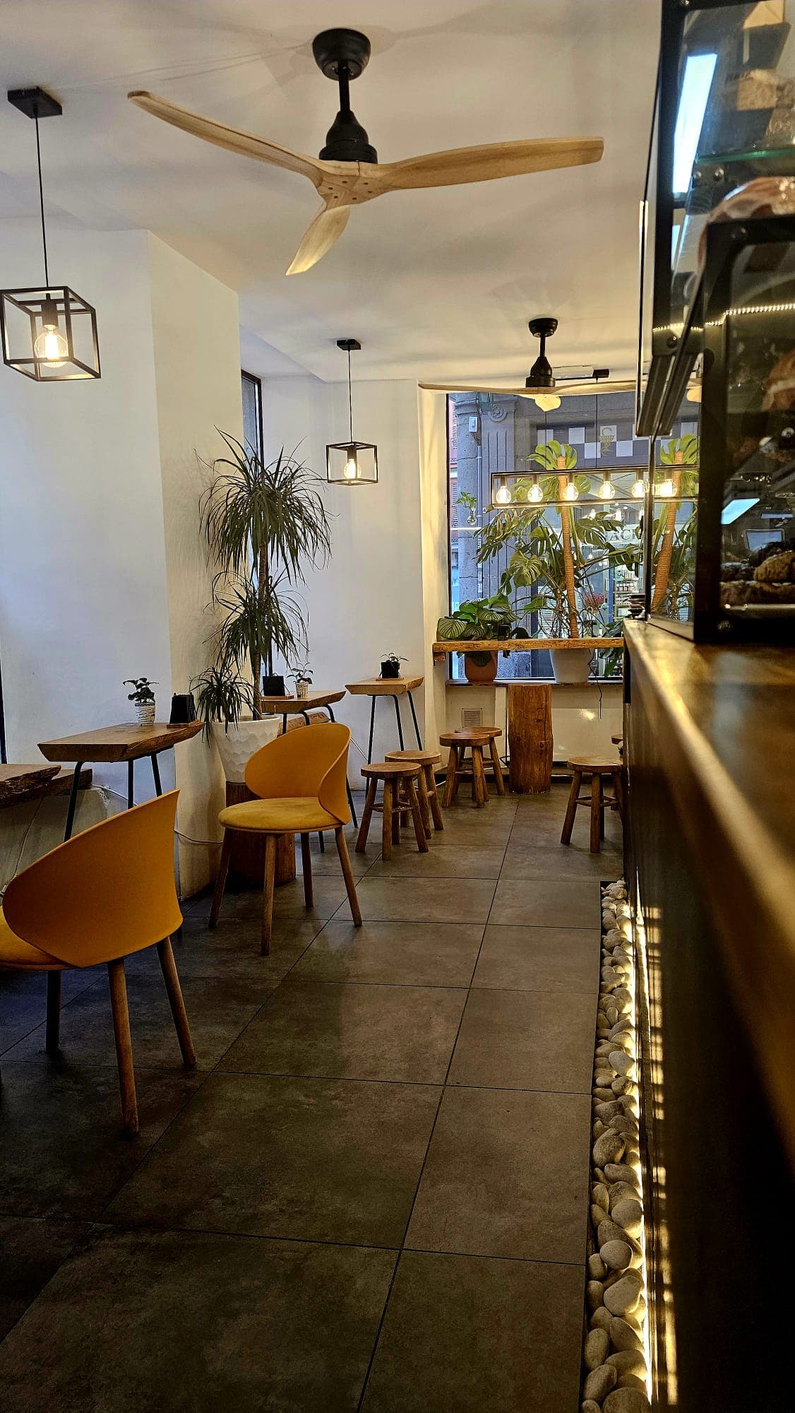 Interior de Baristas Club en Bilbao, con plantas y sillas amarillas